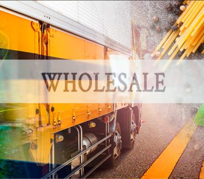 whosale bugsinnovations