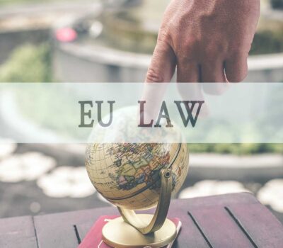 Cricket powder as Novel Food EU Imports and Consuming Legislation review by Bugs Innovations