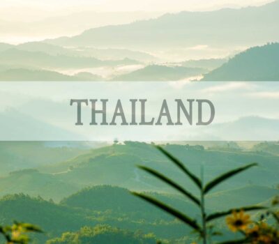 Wholesale Thailand Cricket Powder in the European Union